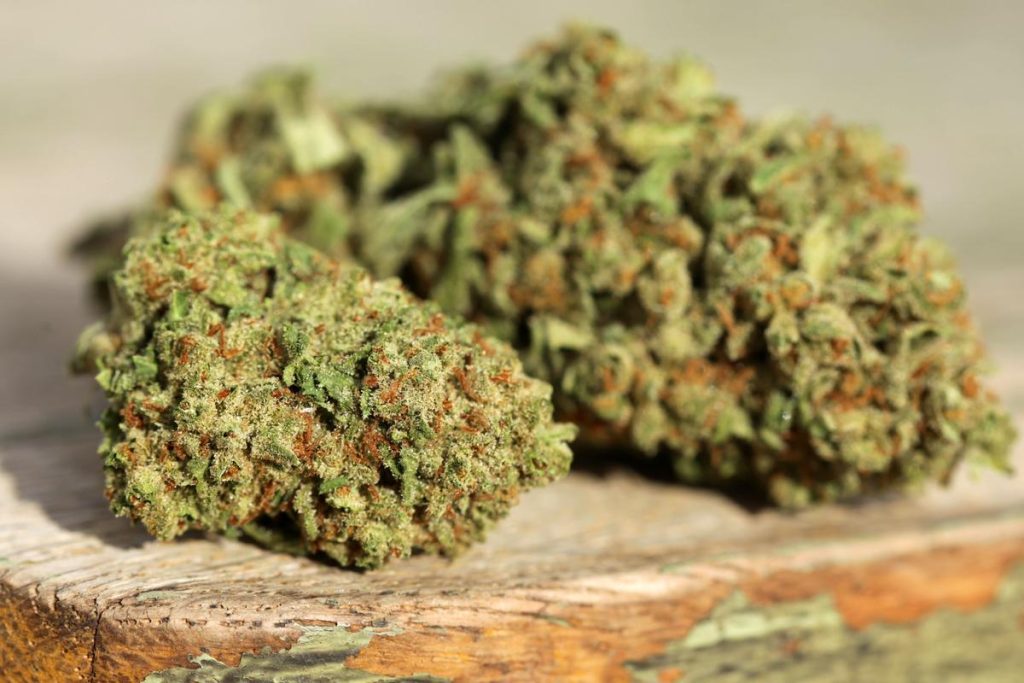 Close-up of two dried cannabis buds resting on a wooden surface.
