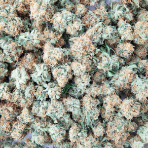 Close-up view of a large quantity of dried cannabis buds with visible orange hairs and green leaves.