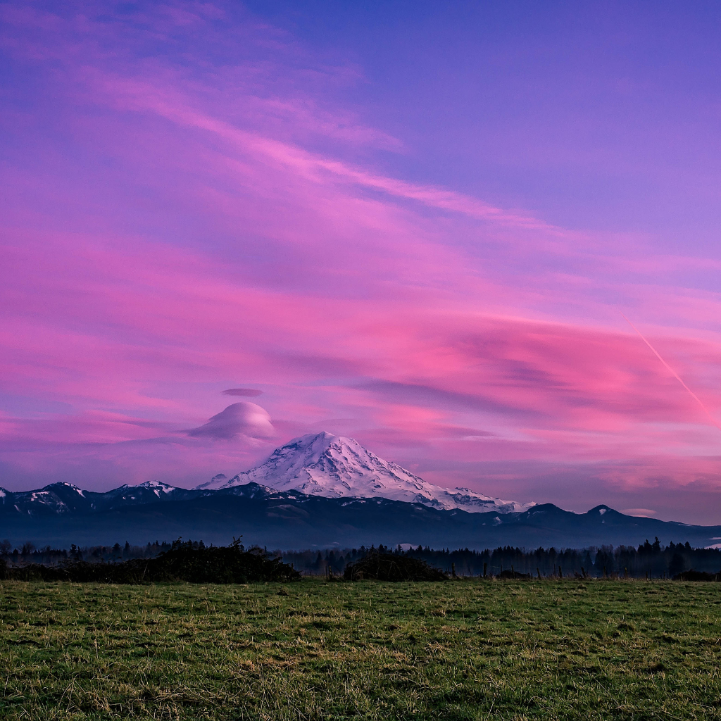 Snow-covered Mount Rainier with vibrant pink and purple sunset sky above a grassy field