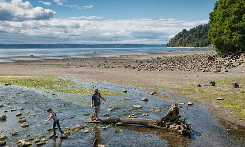 People walking along the rocky shoreline at low tide with water, beach, and forested cliffs in the background
